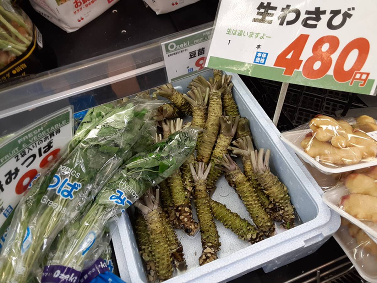 生の本わさびはスーパーで買えるのか 通販で安く手に入れる方法とは ホペイロブログ